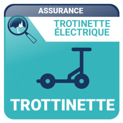 Assurance Trottinette électrique - Véhicules Collection et Loisirs