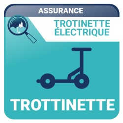 Assurance Trottinette électrique - Véhicules Collection et Loisirs